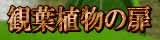 観葉植物の扉